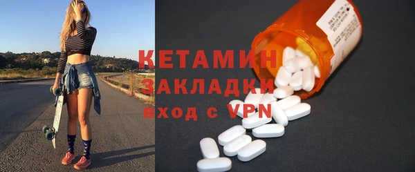 прущие грибы Сосновый Бор