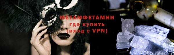 прущие грибы Сосновый Бор