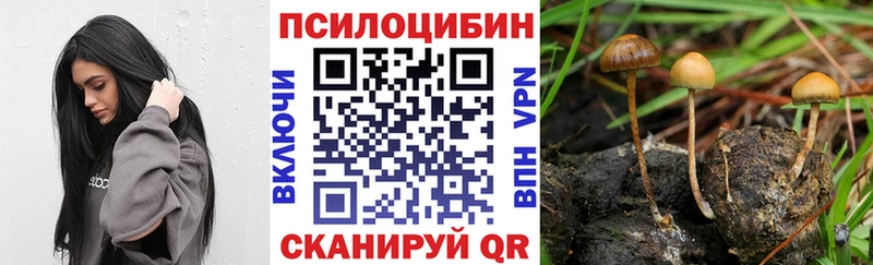 Галлюциногенные грибы мухоморы  Купить  Новотитаровская 